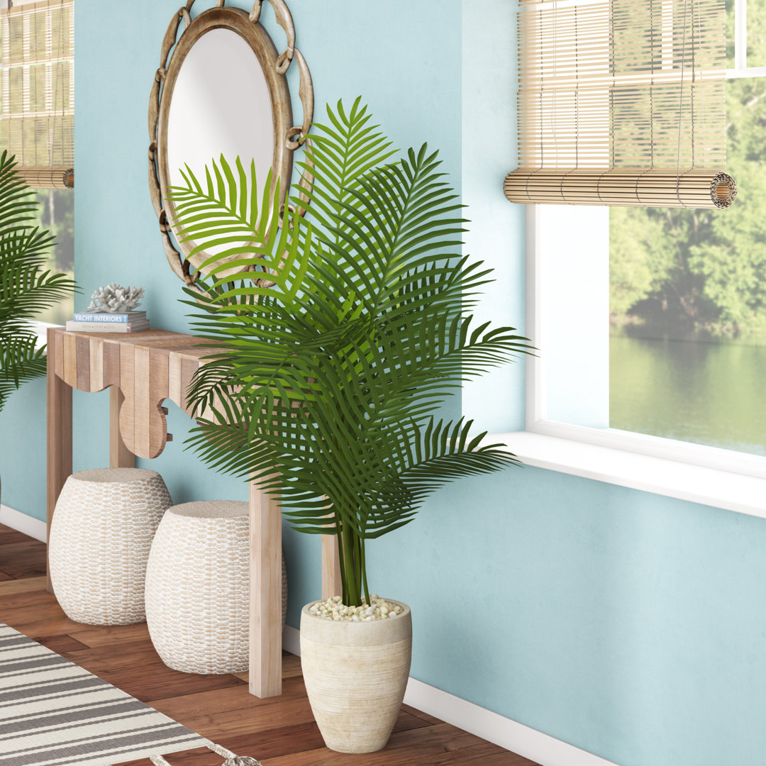 Brendis Floor Palm Tree in Planter Beachcrest Home™ Base 