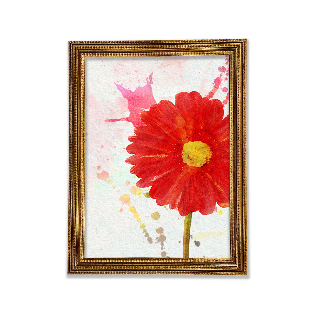 Gerbera Splash - Druck