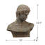 Buste Akeil brun / gris Atticus
