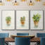Succulent I, encadré sur toile, 3 pièces-163068311-163068310