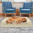 Orthopedic Fleece Pet Bed-91893261-91893269