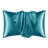 Silk Satin Soft Pillowcases 2 PCS(Cover Only)-383445830-383445838