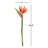 Bird Of Paradise Arrangement