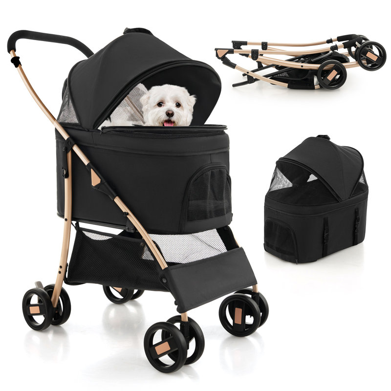 Artemas Vehicle Travel Carrier, Black/Gold