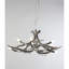 Lustre en bois de cerf Guntar-1548690734-1592909926
