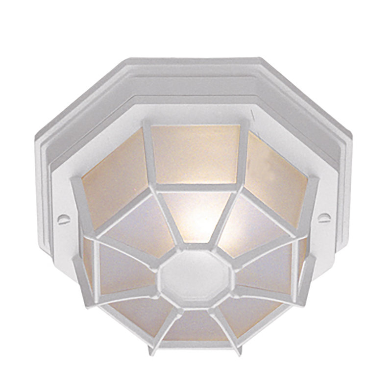 Plafonnier encastré d'extérieur à 1 ampoule Basham, Blanc, H 4 po x l 9 po x P 11 po