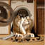  Tapis lavable Mountain Lion-74815151