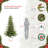 Lighted Christmas Tree-1282051876