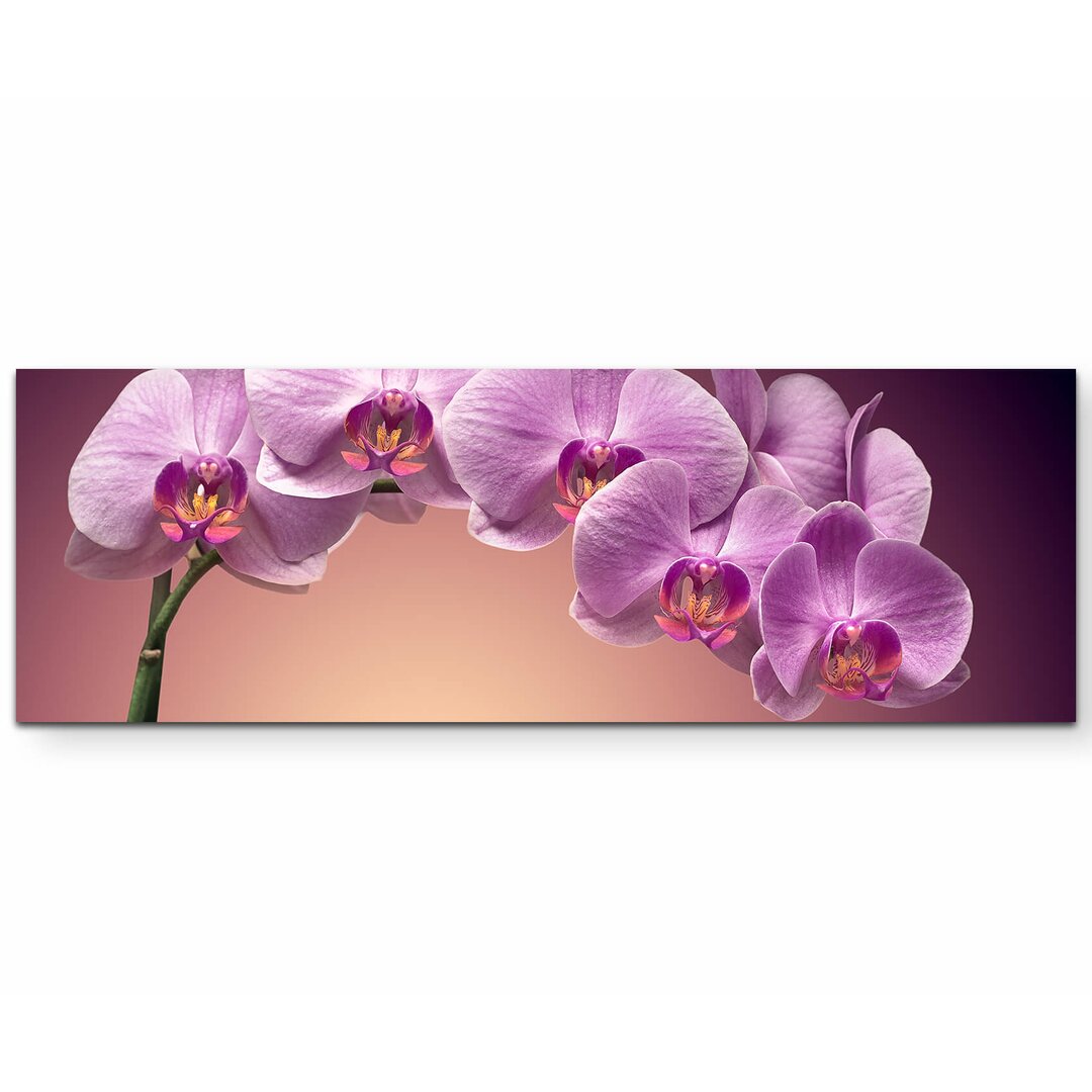 Leinwandbild Rosa Orchideenrispe – Nahaufnahme