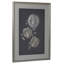 No Title - Single Picture Frame Print