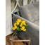 Begonia Floral Arrangement-1520998629-1560274431