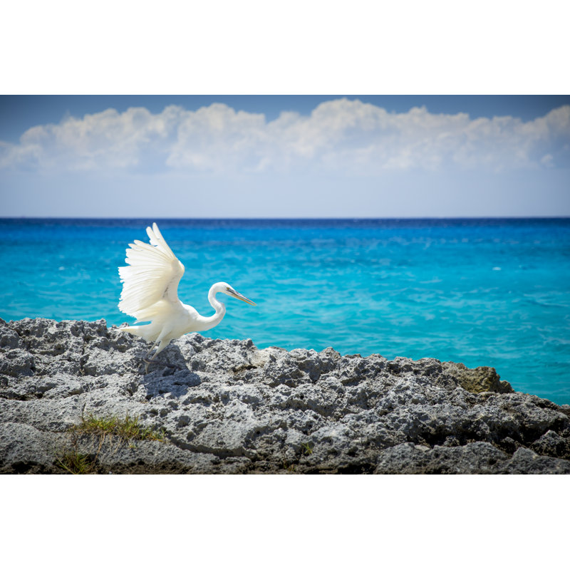 White Heron At Sea by Mikolajn - Wrapped Canvas Print, 30cm H x 46cm W