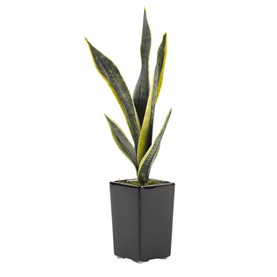 20'' Faux Mother In Law's Tongue Plant in Ceramic Planter