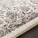Maleisha Oriental Indoor Rug