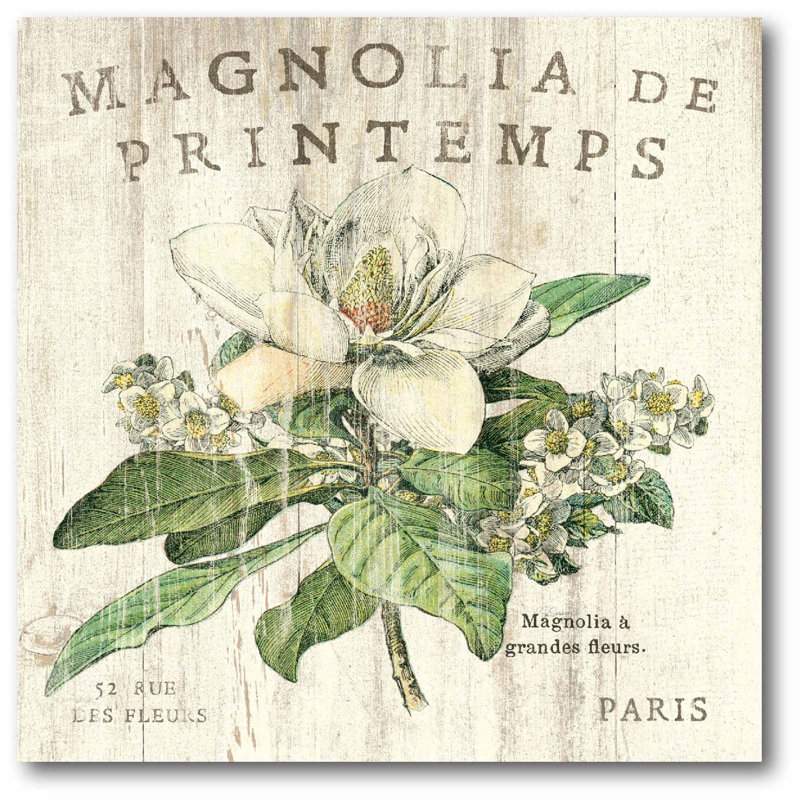 « magnolia de printemps », impression sur toile