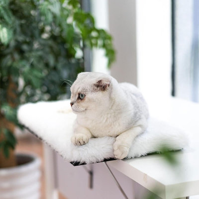 Wellington Metal Pet Bed