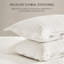Ensemble de courtepointe 100% coton festonné | Conception festonnée, surpiqures florales, délavé, tissu 100% coton et bourre en coton, certifié OEKO-TEX® Standard 100-132146253-132146251