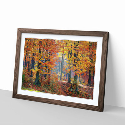 Landscape Forest in the Autumn - Framed Print