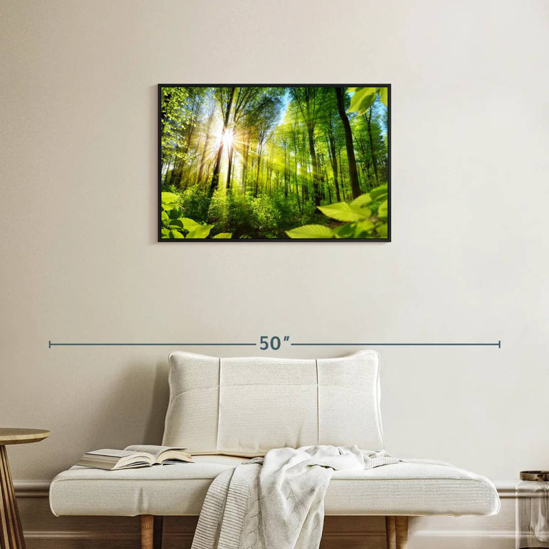 Forêt ensoleillée, Cadre flottant noir, 31 po x 21 po