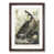Walnut Framed selected