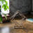 Quint Abstract Sculpture-141804248-141804249