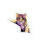 Art little tiger-49795661-49795676