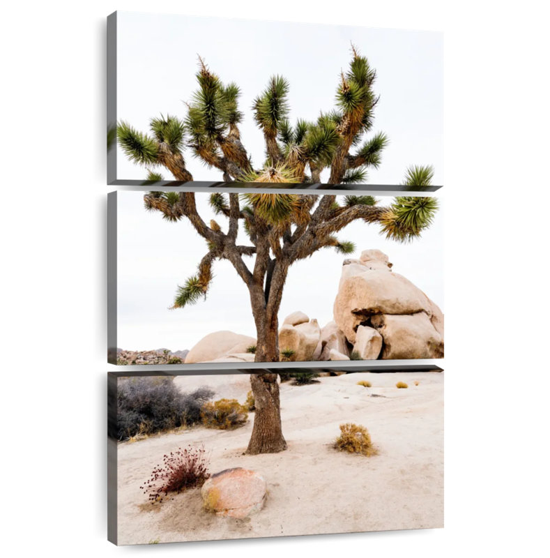 Parc national Harnek Joshua Tree III, H 50 po x l 32 po