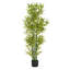 Arbre de bambou artificiel de 5 pi en pot noir (ensemble de 2), plante de bambou réaliste de 60 pouces pour la décoration intérieure et extérieure, le bureau et le vestibule