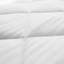 Protège-matelas en duvet synthétique de 0,5 po Falco-28459475