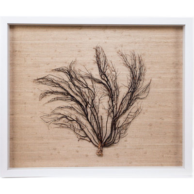Sealife Print