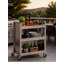 Ziegler Serving Cart