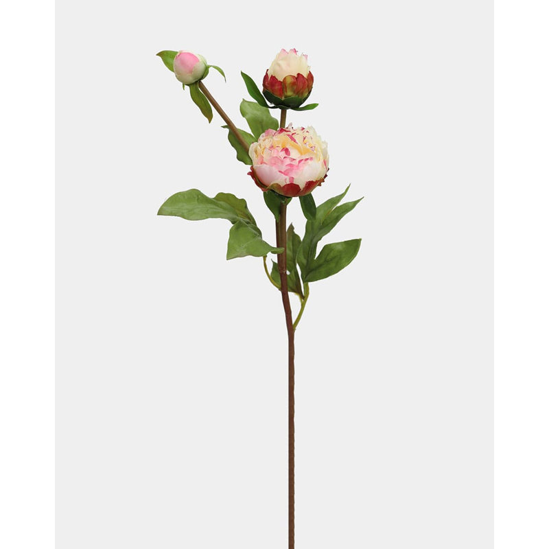Pivoine jaune tendre 48 cm, Yellow
