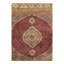 Scarlytt Oriental Area Rug in Red