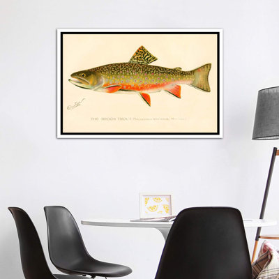 " The Brook Trout "