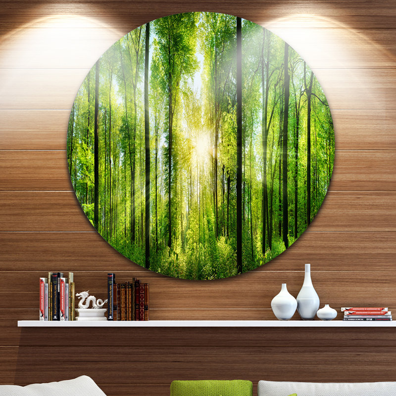 «Forest with Rays of Sun Panorama», photographie, H 11 po x l 11 po x p 1 po, Métal
