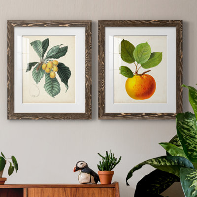 Feuillage antique et fruit VI - ensemble de 2 reproductions d'art sur papier encadré