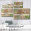 Toile tendue Neutral Blooms IV-Gallery-1918959583