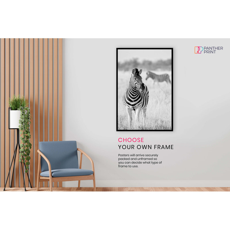 Zebra In Wildlife Artistic - No Frame Print, 61cm H x 41cm W