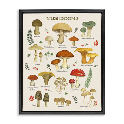 Auriemma " Foraging Mushrooms Studies " by Sharon Lee