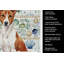 Torchon rouge et blanc Basenji-1209194480