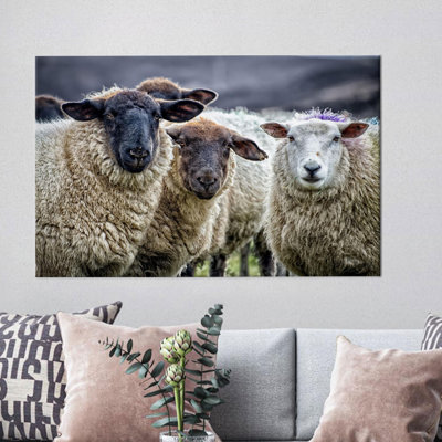 Print on Canvas