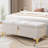 Zeger Upholstered Storage Bench-1138932771