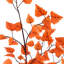 Arbre d'automne artificiel en bouleau-2101534752