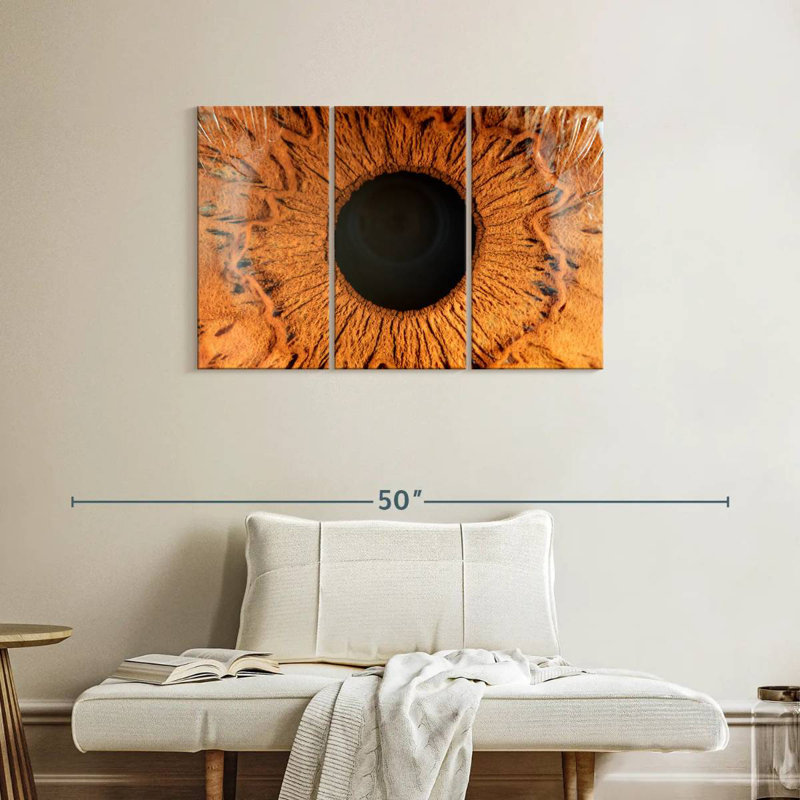 Alcaraz Brown Iris, 24" H x 38" W