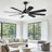 Cissline 62" Black Modern Ceiling Fan with Remote and LED Light Kit for Bedroom