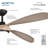 Mortyn 60" Led Indoor/outdoor Ceiling Fan-116509627-116509628