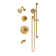 Braston HydroMersion Tub and Shower Trim Kit with Hand Spray