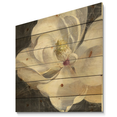 " Vivid Magnolia IV "
