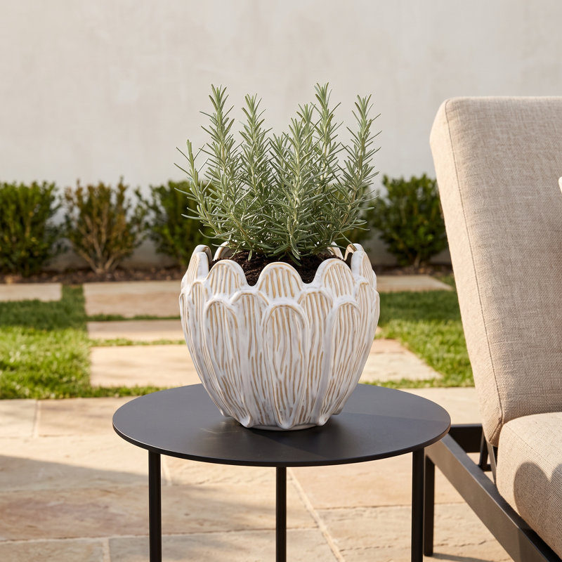 Debossed Stoneware Flower Shaped Planter in Reactive Glaze