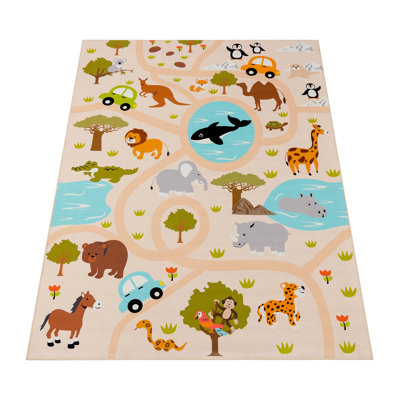 Irma No Pattern And No Solid Colour Area Rug